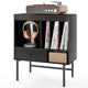 Large Record Player Stand with Open Compartments for Music Room