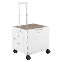 Foldable Utility Cart on 4 Rotate Wheels with Telescoping Handle