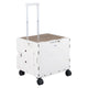 Foldable Utility Cart on 4 Rotate Wheels with Telescoping Handle