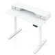 Electric Standing Desk Height Adjustable Stand Up Desk Home Office Computer Desk