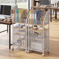 Rolling File Utility Cart with 2 Drawers and Lockable Wheels for Home Office