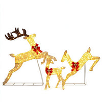 Lighted Reindeer Family Set of 3 Outdoor Pre-lit Christmas Decoration