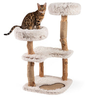 Modern Cat Tree Tower 101cm with Luxury Real Wood Natural Branch