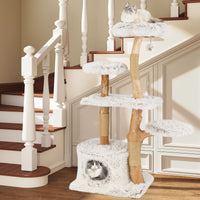 Natural Branch Cat Tree Luxury Solid Wood for Indoor Kitten and Cat