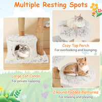 Natural Branch Cat Tree Luxury Solid Wood for Indoor Kitten and Cat