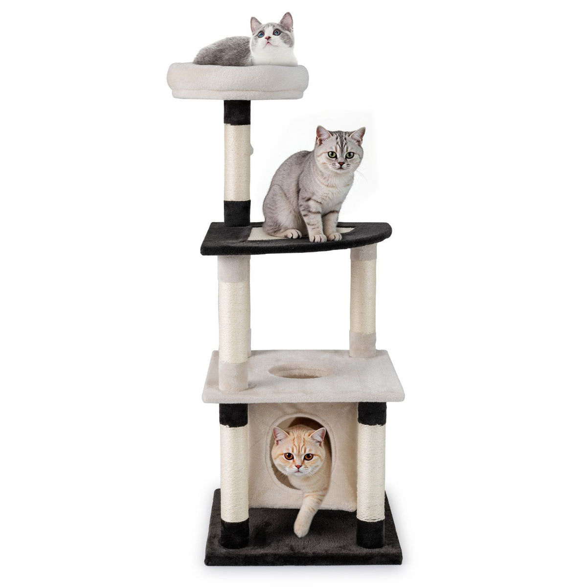 Multi-Level Cat Tree with Scratching Posts Board and Arched Platform