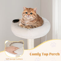 Multi-Level Cat Tree with Scratching Posts Board and Arched Platform
