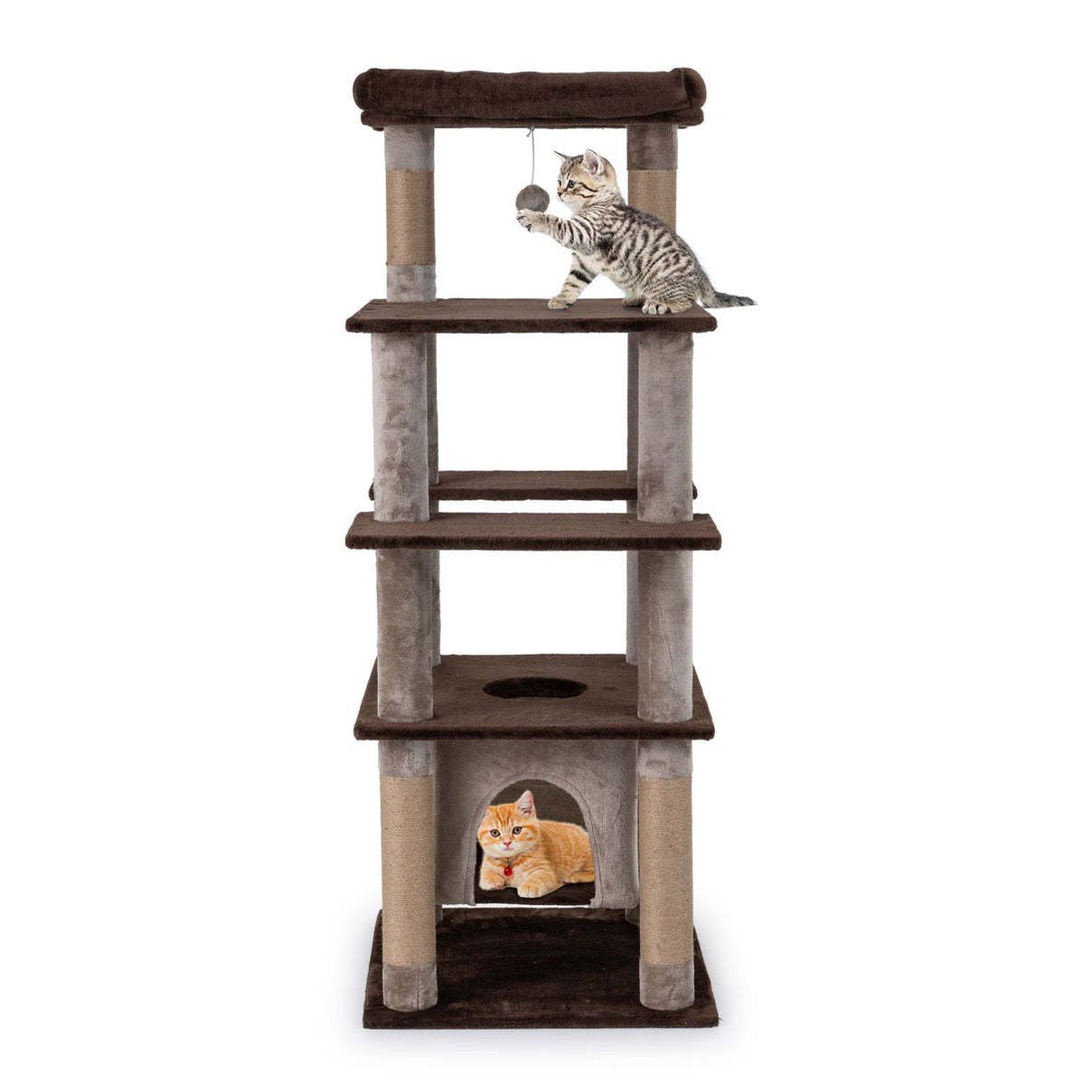 Multi-level Cat Tree with Swaying Aerial Condo and Exploration Hole