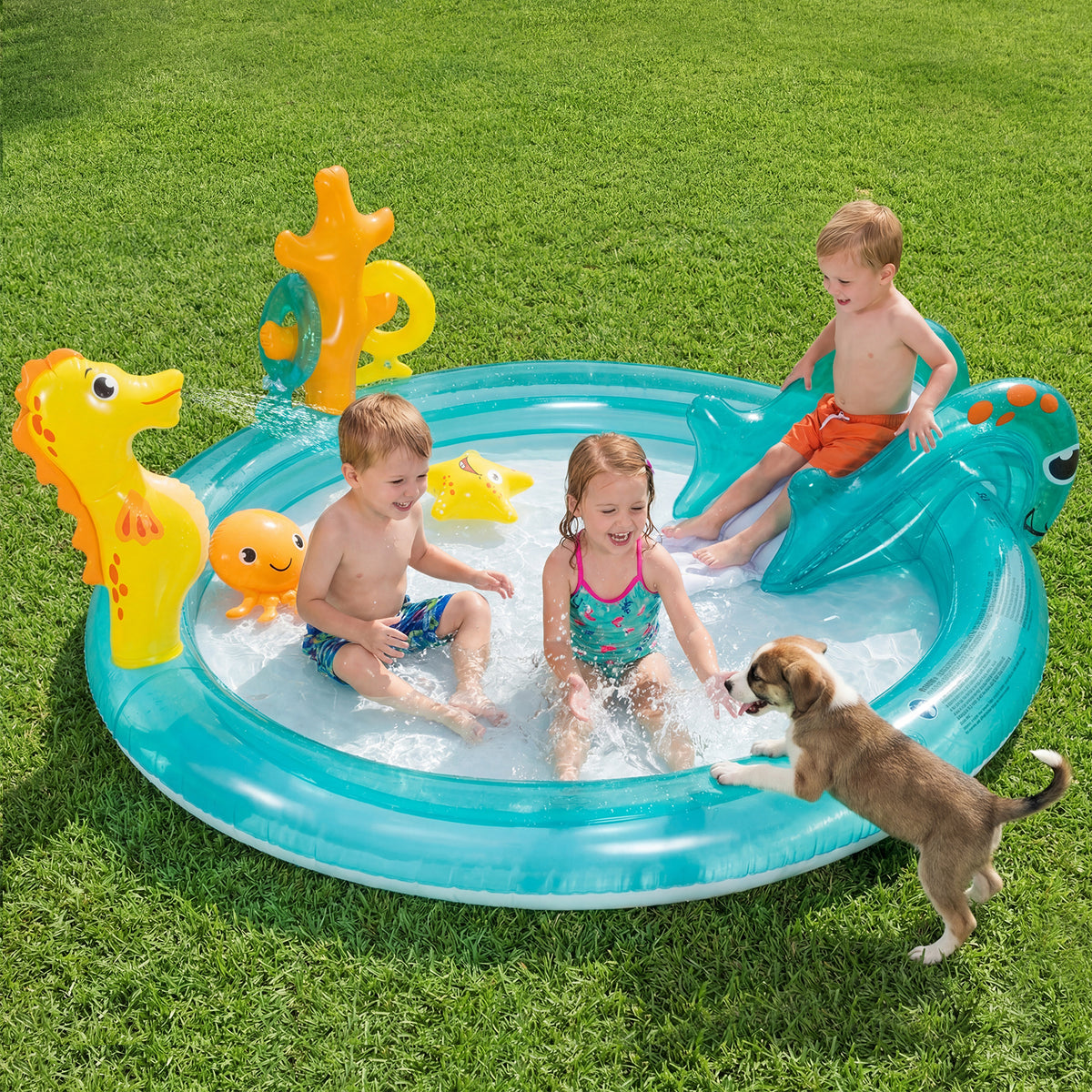Inflatable Play Center, Marine Life Spray Pool with Slide, Seahorse-shaped Sprinkle