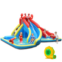 Inflatable Water Slide with Climbing Wall