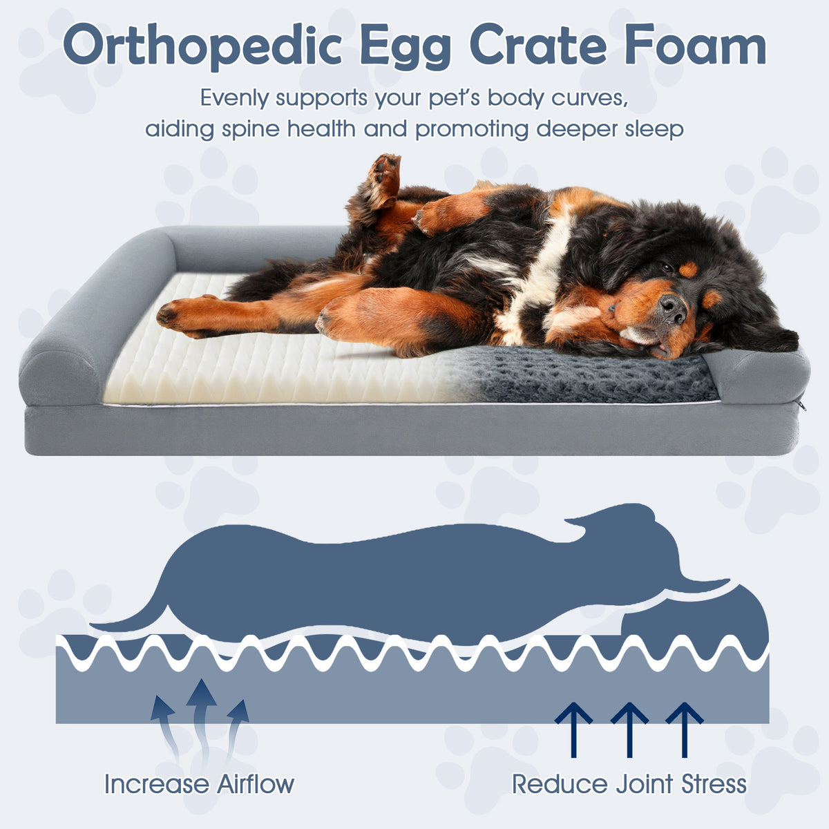 Orthopedic Foam Dog Bed, L/XL/XXL Sized Large Pet Bed