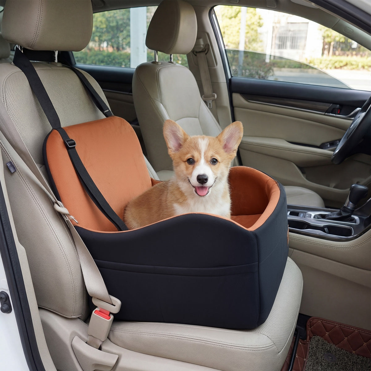Dog Booster Car Seat for S/M Dogs Detachable Elevated Pet Seat with Cushion