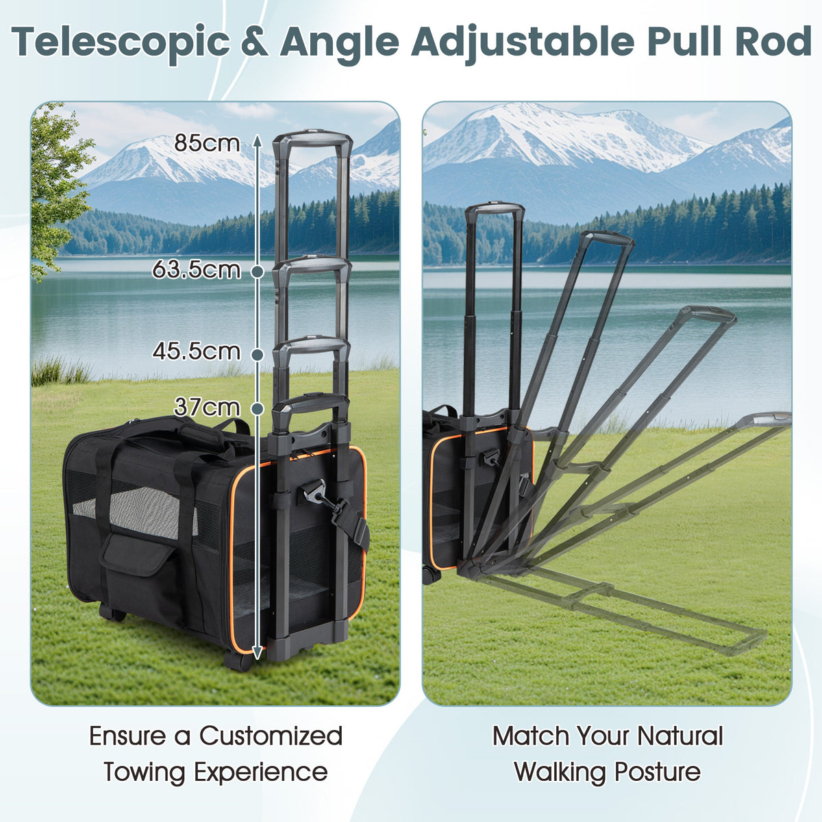 Rolling Pet Carrier Soft-sided Dog Travel Crate with Telescopic Handle