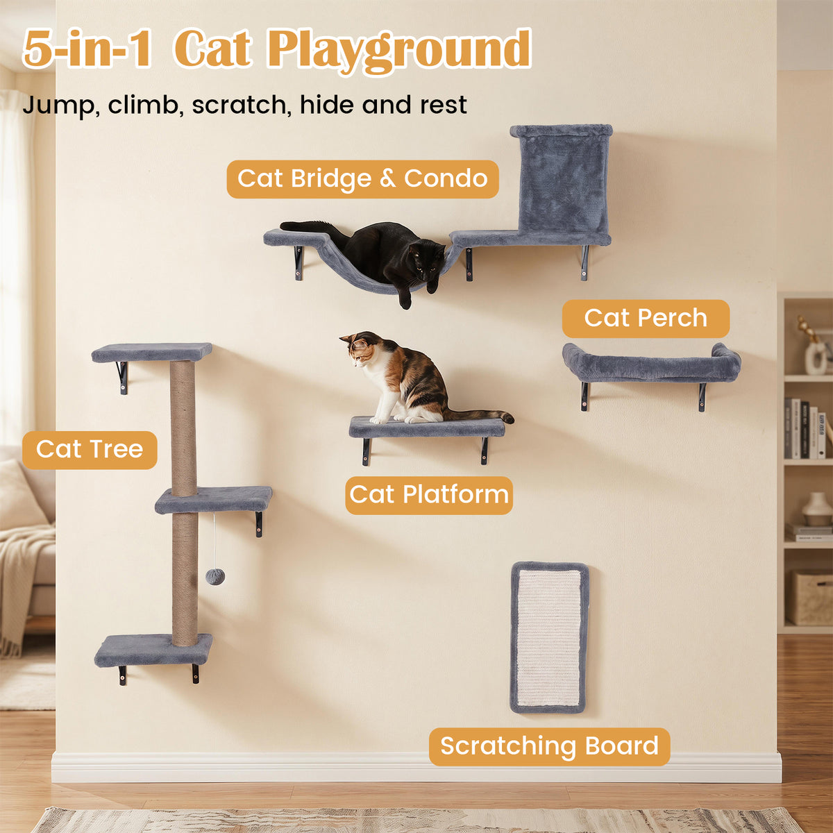 5-in-1 Cat Climbing Wall with Cat Tree & Cat House with Bridge