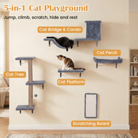 5-in-1 Cat Climbing Wall with Cat Tree & Cat House with Bridge