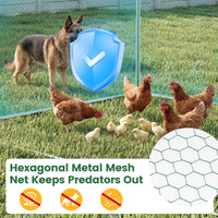 Large Metal Chicken Coop 300 x 203 x 202 CM Walk-in Chicken Run