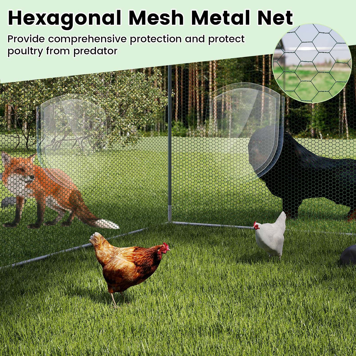 Walk-in Poultry Cage with Oxford Canopy and Hexagonal Mesh Net