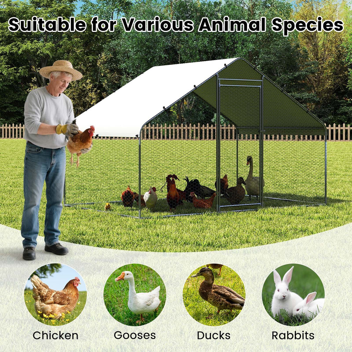 Walk-in Poultry Cage with Oxford Canopy and Hexagonal Mesh Net