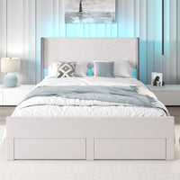 Queen Size Bed Frame with LED Lights and 2 Storage Drawers