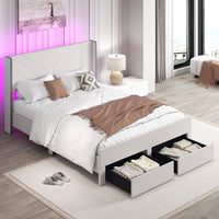 Queen Size Bed Frame with LED Lights and 2 Storage Drawers