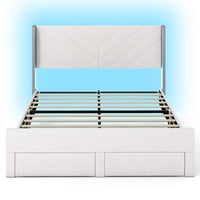 Queen Size Bed Frame with LED Lights and 2 Storage Drawers