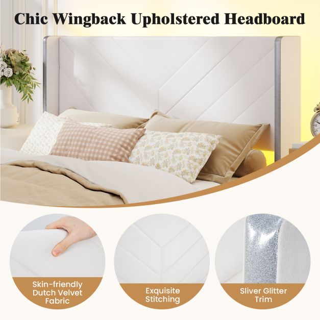 Queen Size Bed Frame with LED Lights and 2 Storage Drawers