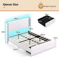 Queen Size Bed Frame with LED Lights and 2 Storage Drawers