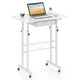Standing Desk Height Adjustable with Fabric Drawer and Lockable Wheels