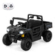 12V Ride on Dump Truck, Ride on Car with Electric Dump Bed