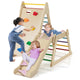3-In 1 Jungle Gym, Indoor Playground for Toddlers with Extended Slide