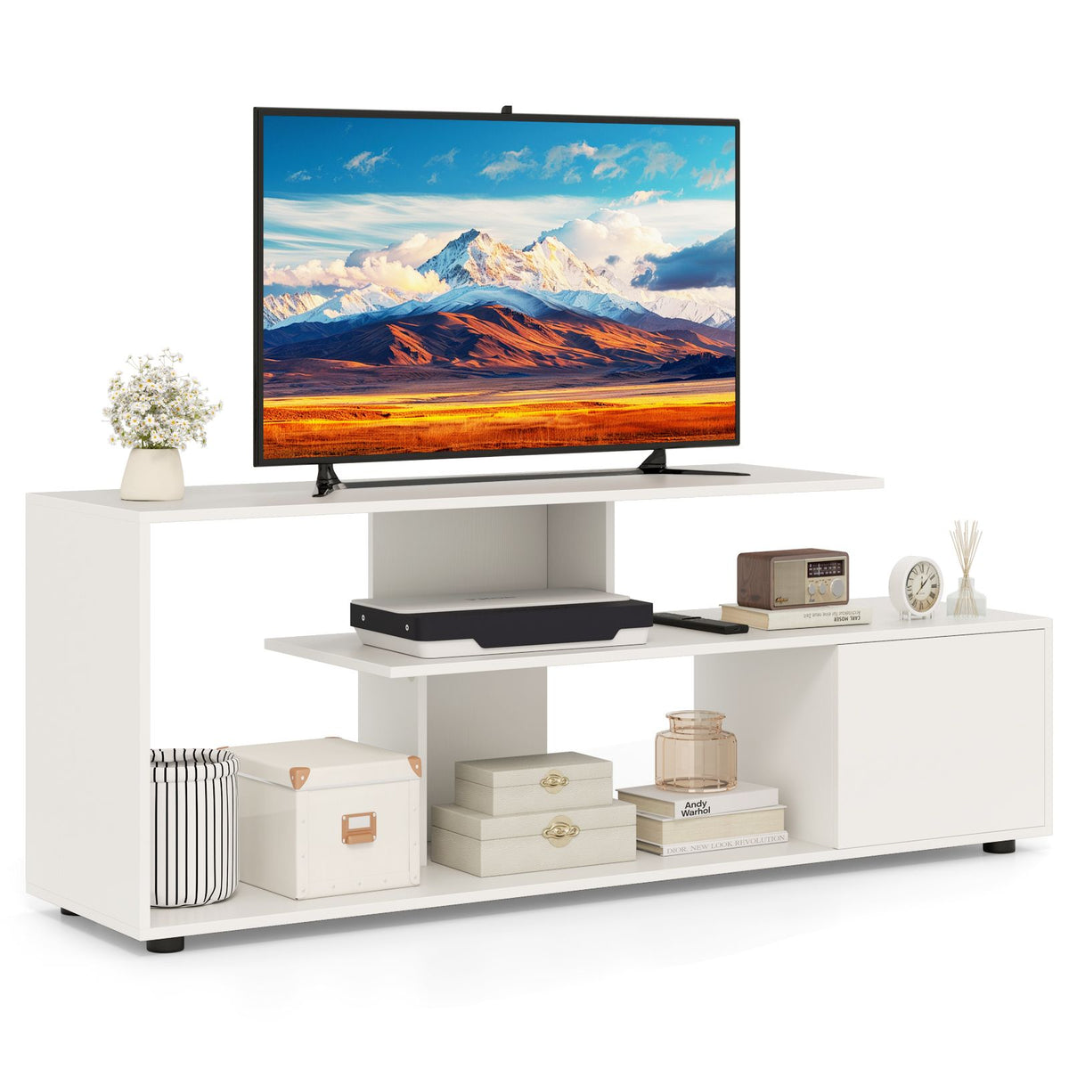 TV Stand with Storage Shelves and Cabinet for Living Room and Bedroom