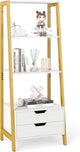 Ladder Bookshelf with Storage