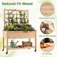 Wooden Raised Garden Bed with Trellis Liner and Drainage Holes for Climbing Plant