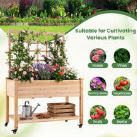 Wooden Raised Garden Bed with Trellis Liner and Drainage Holes for Climbing Plant