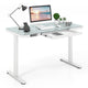 120x60cm Electric Standing Desk w/ Drawer & Tempered Glass Top Home Office