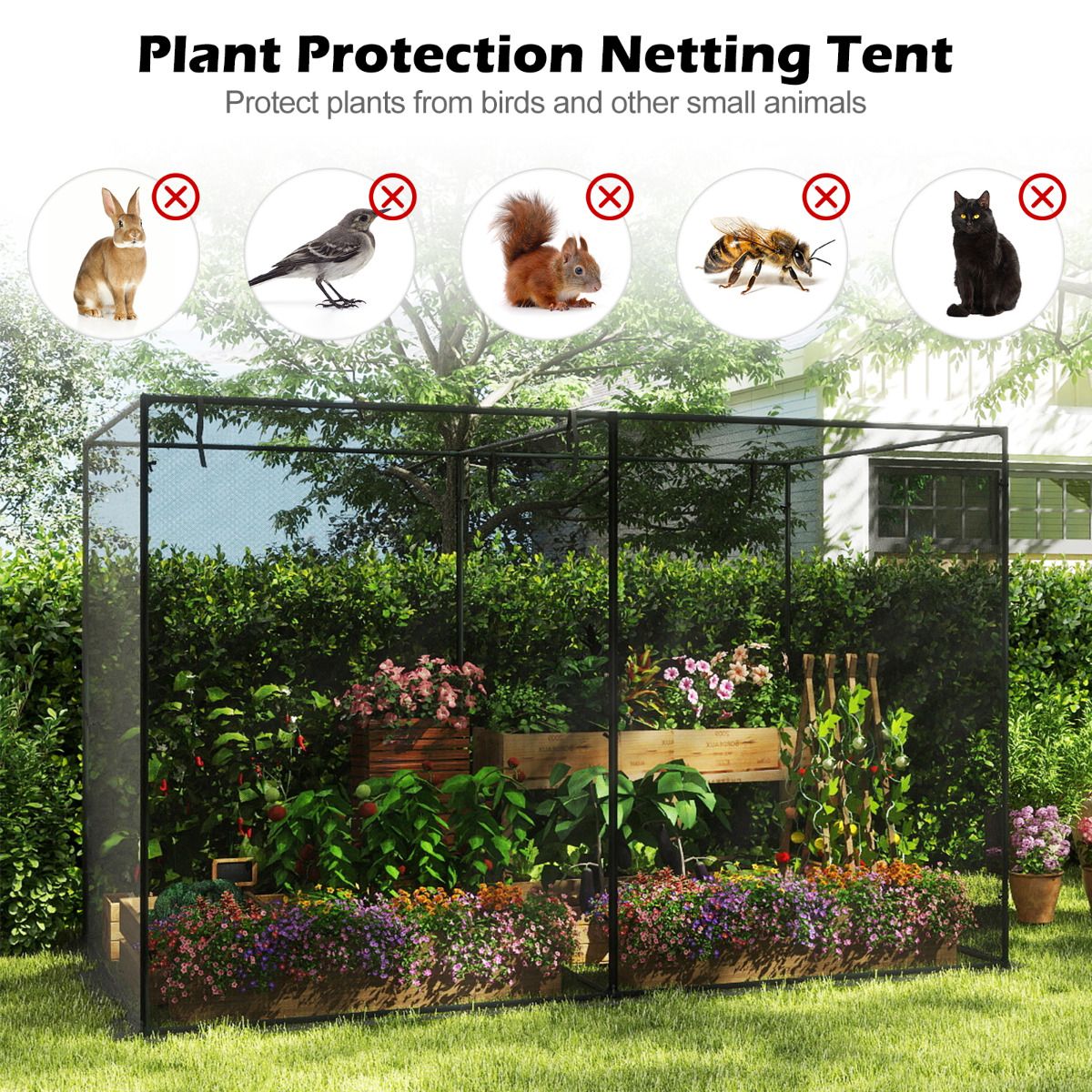 Crop Cages for Garden Plant with 6 Ground Nails