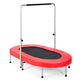 Double Trampoline for 2 People with Adjustable Handrail and Safety Pad