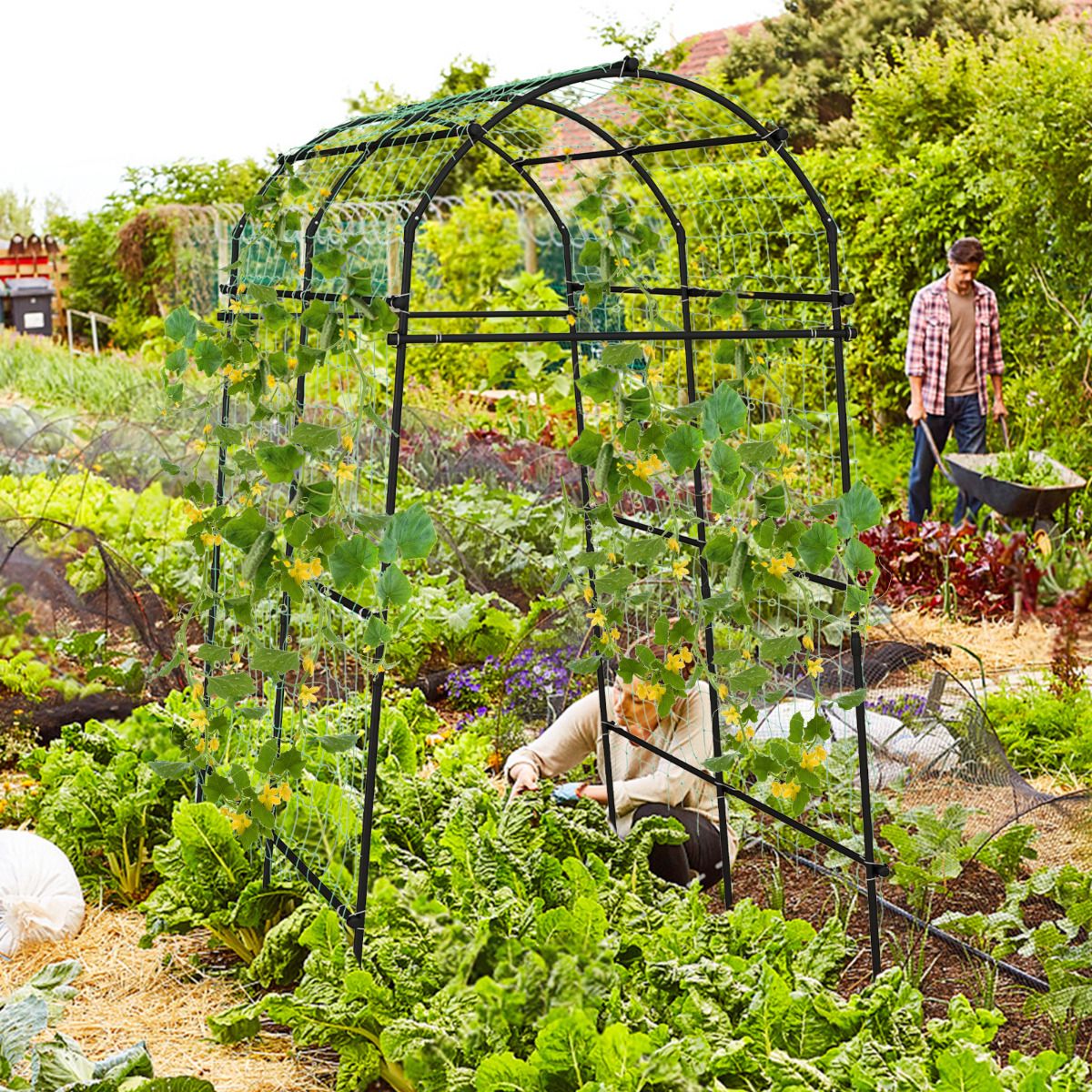 Garden Arch Trellis for Climbing Plants Outdoor 230cm Tall Plant Support Archway