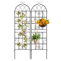 2 Panles Metal Garden Trellis for Outdoor Climbing Plants