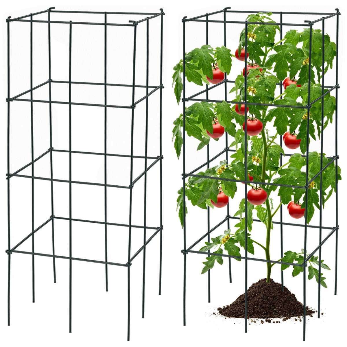 4 Pack Tomato Cage, Trellises for Climbing Plants, Peppers, Vines