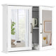 Mirrored Bathroom Wall Cabinet with Double Mirrored Doors and Two Shelves