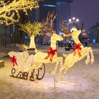 3-Piece Christmas Lighted Reindeer & Sleigh Set, Lighted Xmas Deer Decoration