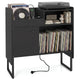 Record Player Stand with Power Outlets and Vinyl Storage Holder