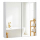 Medicine Cabinet with Mirror and Wooden Hanging 2-Tier Storage Cabinet for Laundry