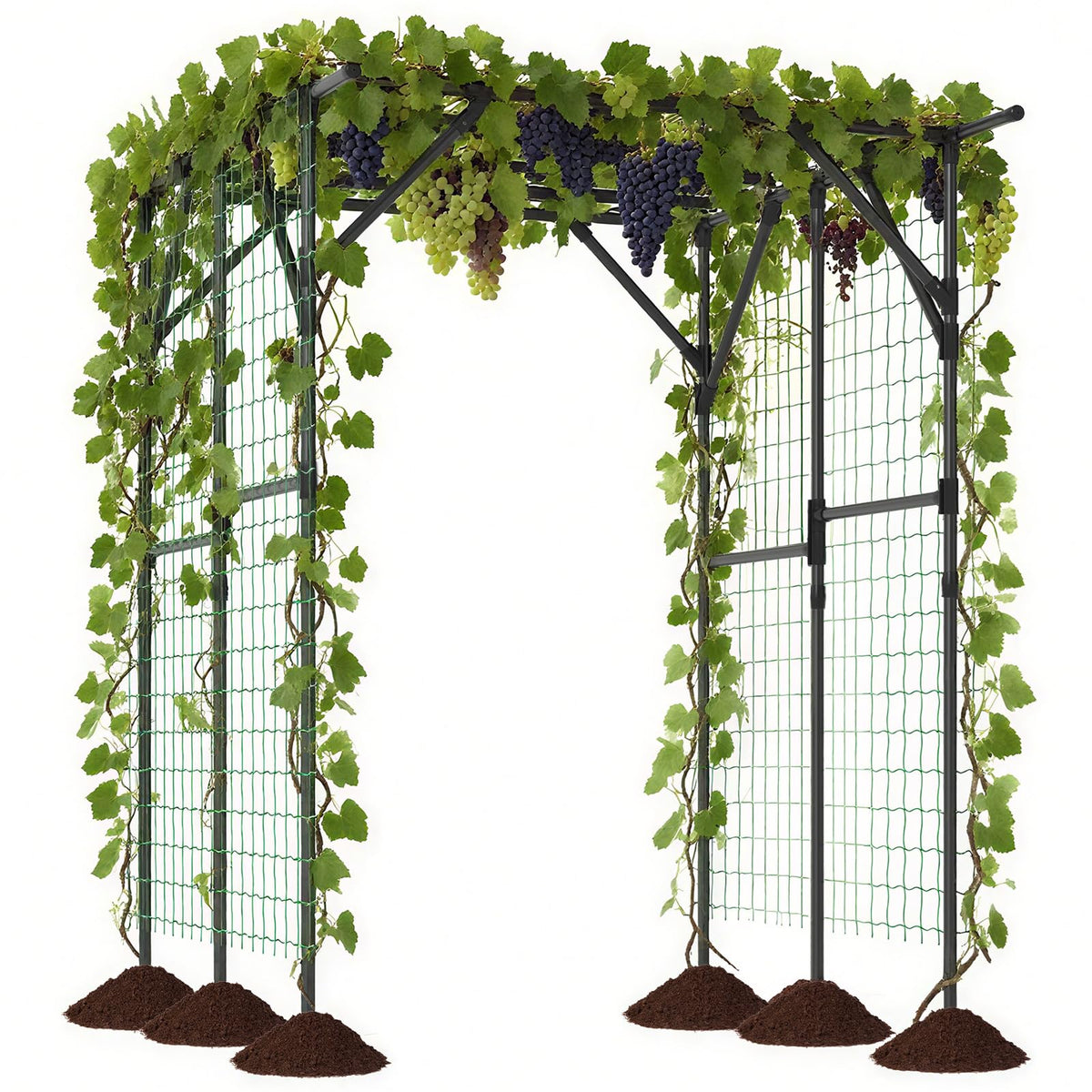 Large Garden Arch Trellis for Climbing Plants Outdoor