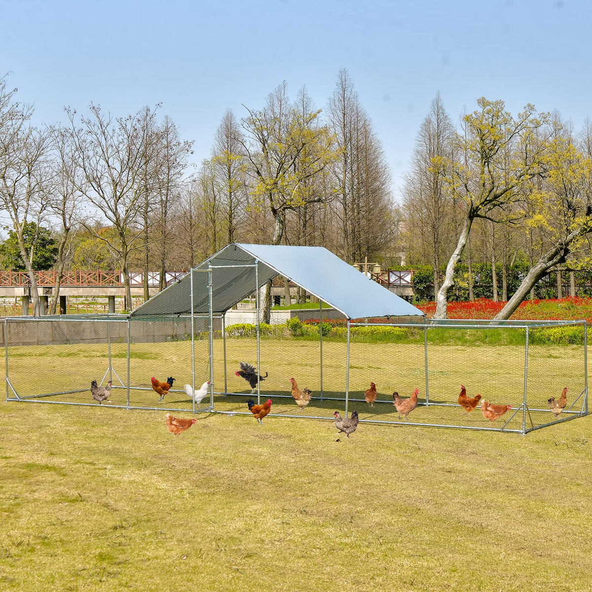 Extra Large Metal Chicken Coop, Walk-in Poultry Cage Hen Rabbit Run House