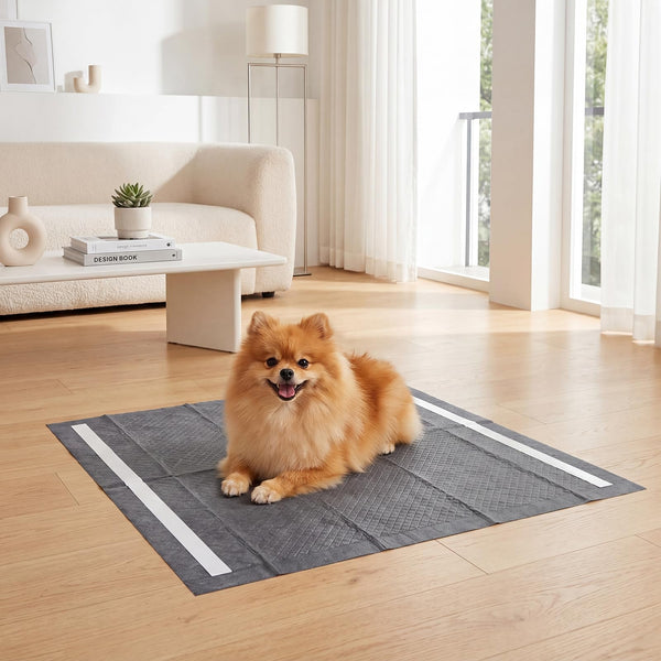Charcoal Dog Pee Pads, 60 x 60 cm (150 Count) 6-Layer Leak-Proof Pet Potty Training Pads for Dogs