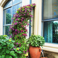 Giantex - 2 Half Garden Arch Trellis, 8.2ft Metal Garden Gazebo