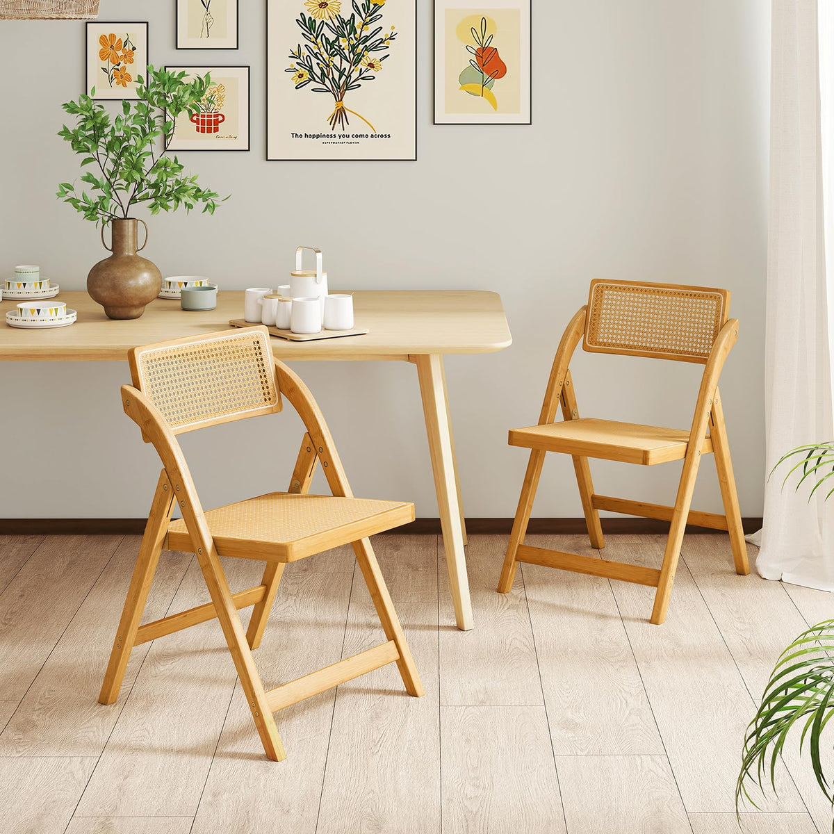 Rattan Cane Folding Chairs Set of 2