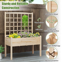 Raised Garden Bed with Lattice Trellis and Drainage Holes